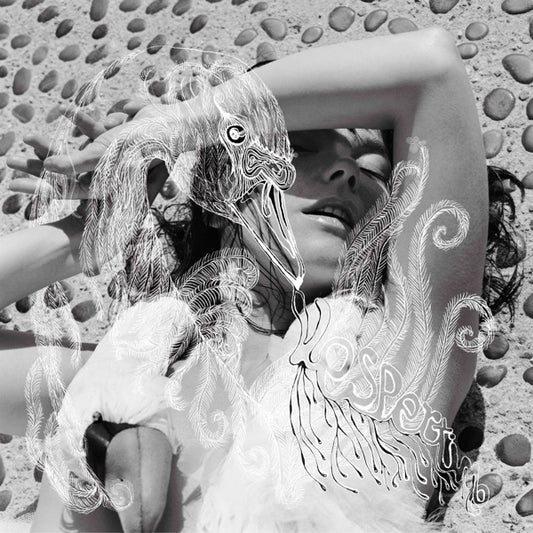 Björk - Vespertine Double LP Vinyl