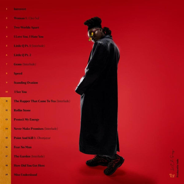 Little Simz - Sometimes I Might Be Introvert CD