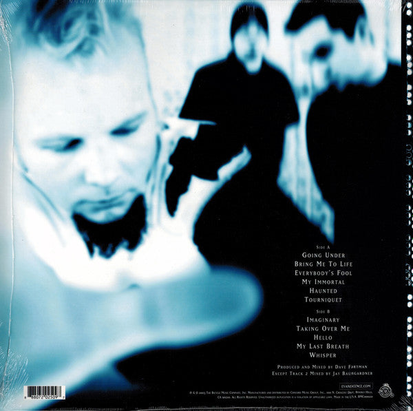 Evanescence - Fallen Vinyl LP