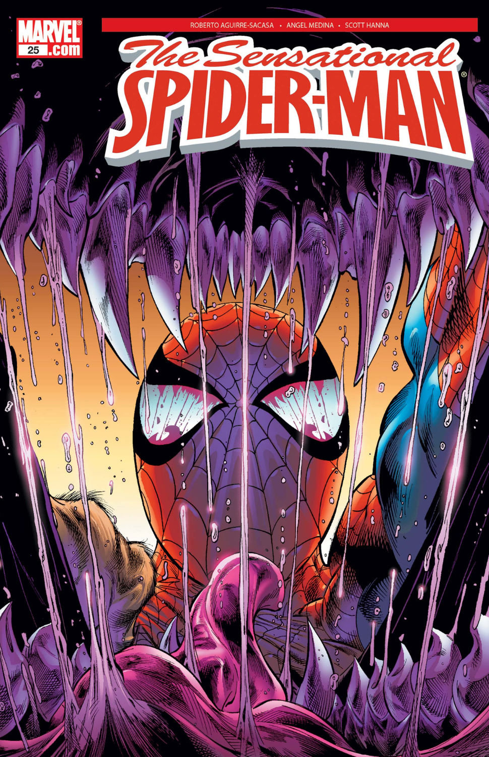The Sensational Spider-Man #25 (2006)