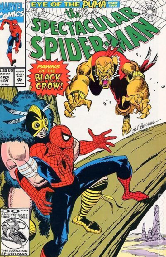 The Spectacular Spider-Man #192 (1992)