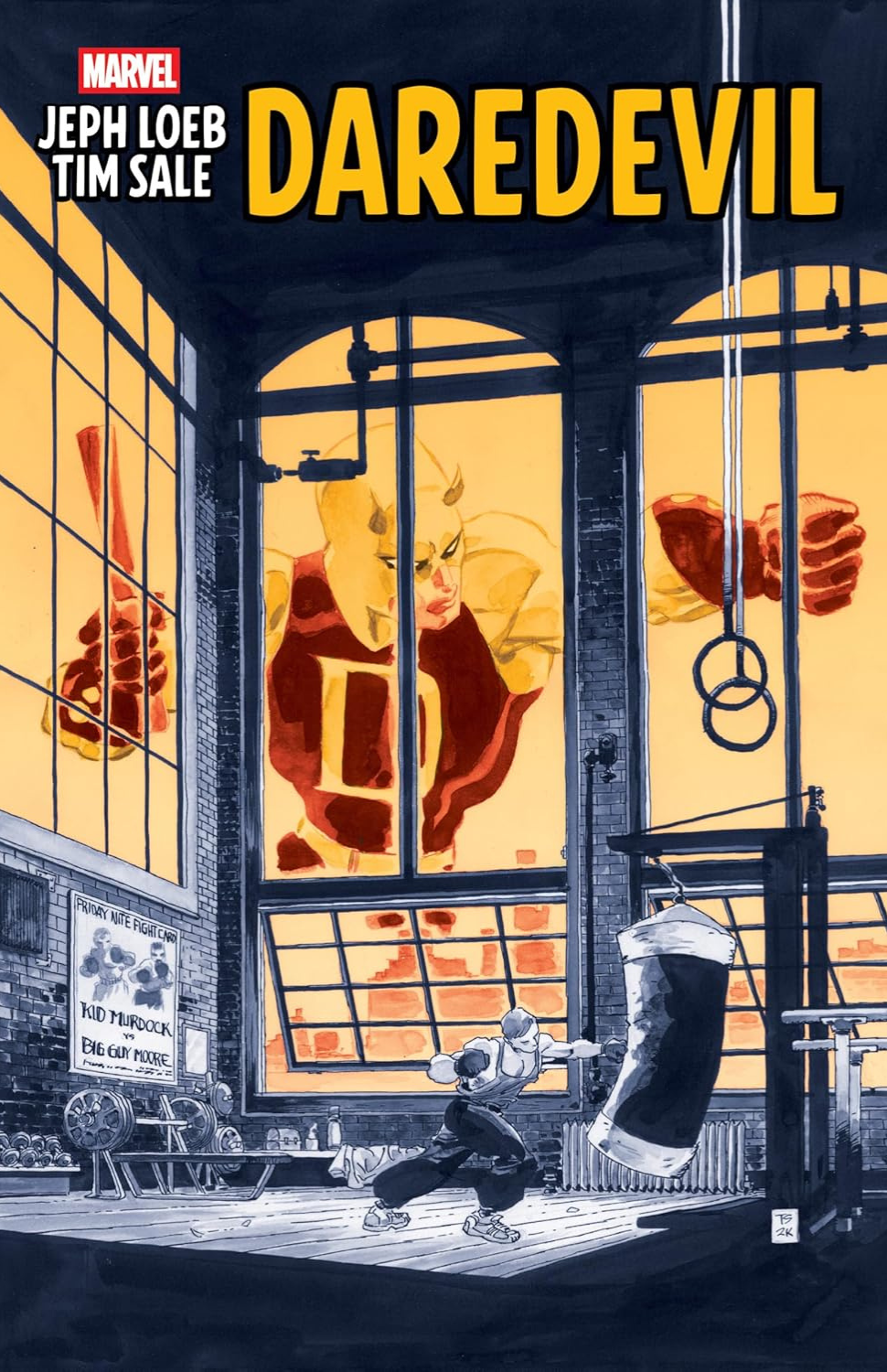 Jeph Loeb & Tim Sale: Daredevil TP