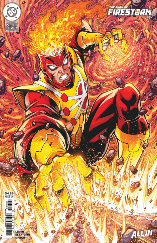 The Fury of Firestorm #3