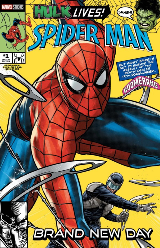 Spider-Man / Hulk: Fire and Brimstone #1