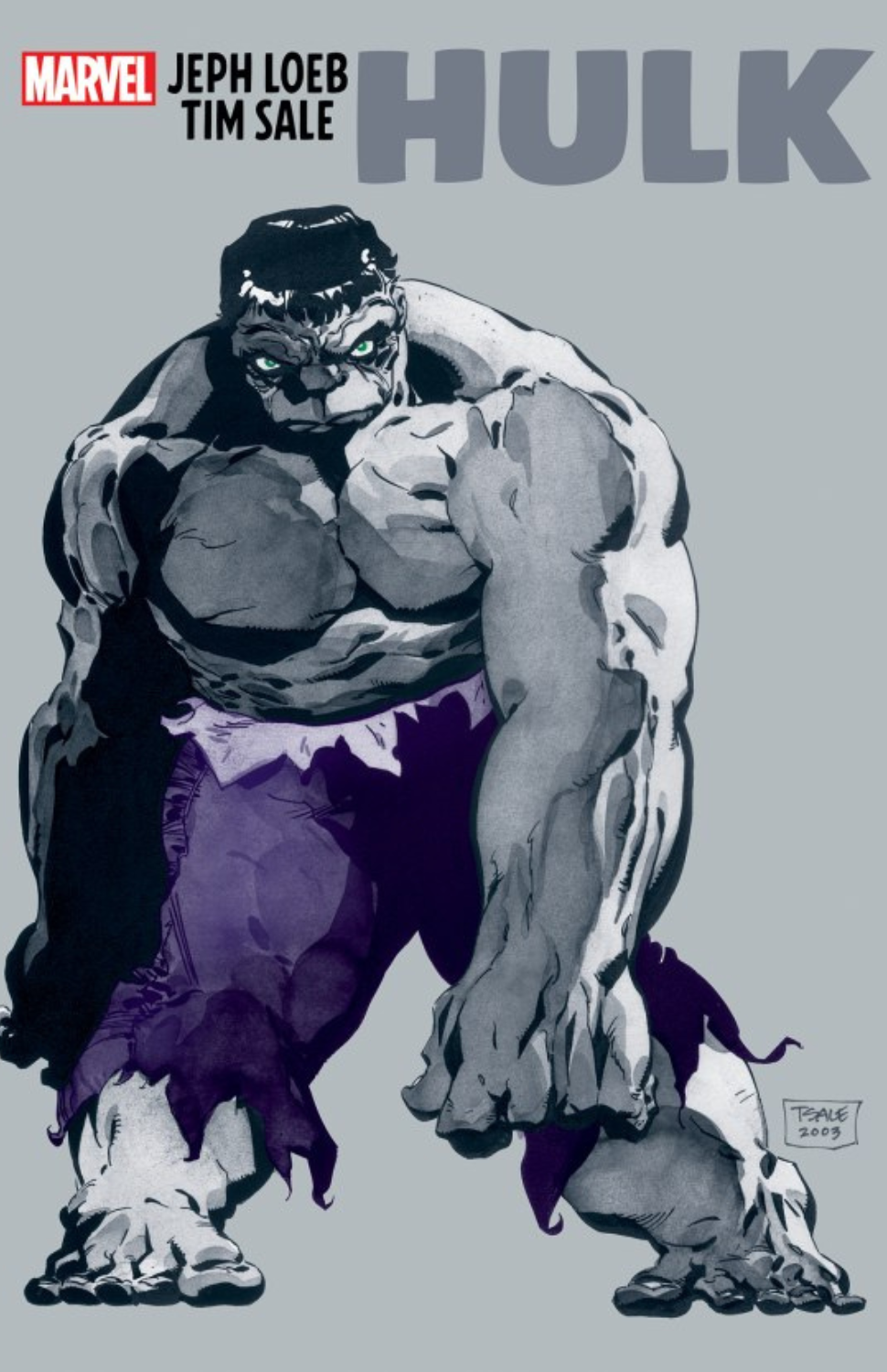 Jeph Loeb & Tim Sale: Hulk TP