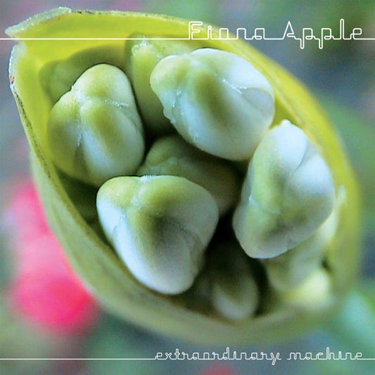 Fiona Apple - Extraordinary Machine CD