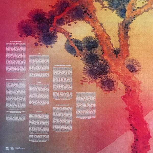 Kanye West/Kid Cudi - Kids See Ghosts Vinyl